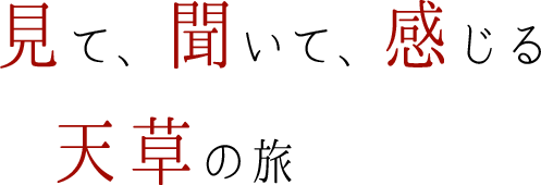 見て、聞いて、感じる天草の旅
