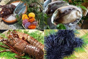cuisine_pic_005 cuisine_pic_005